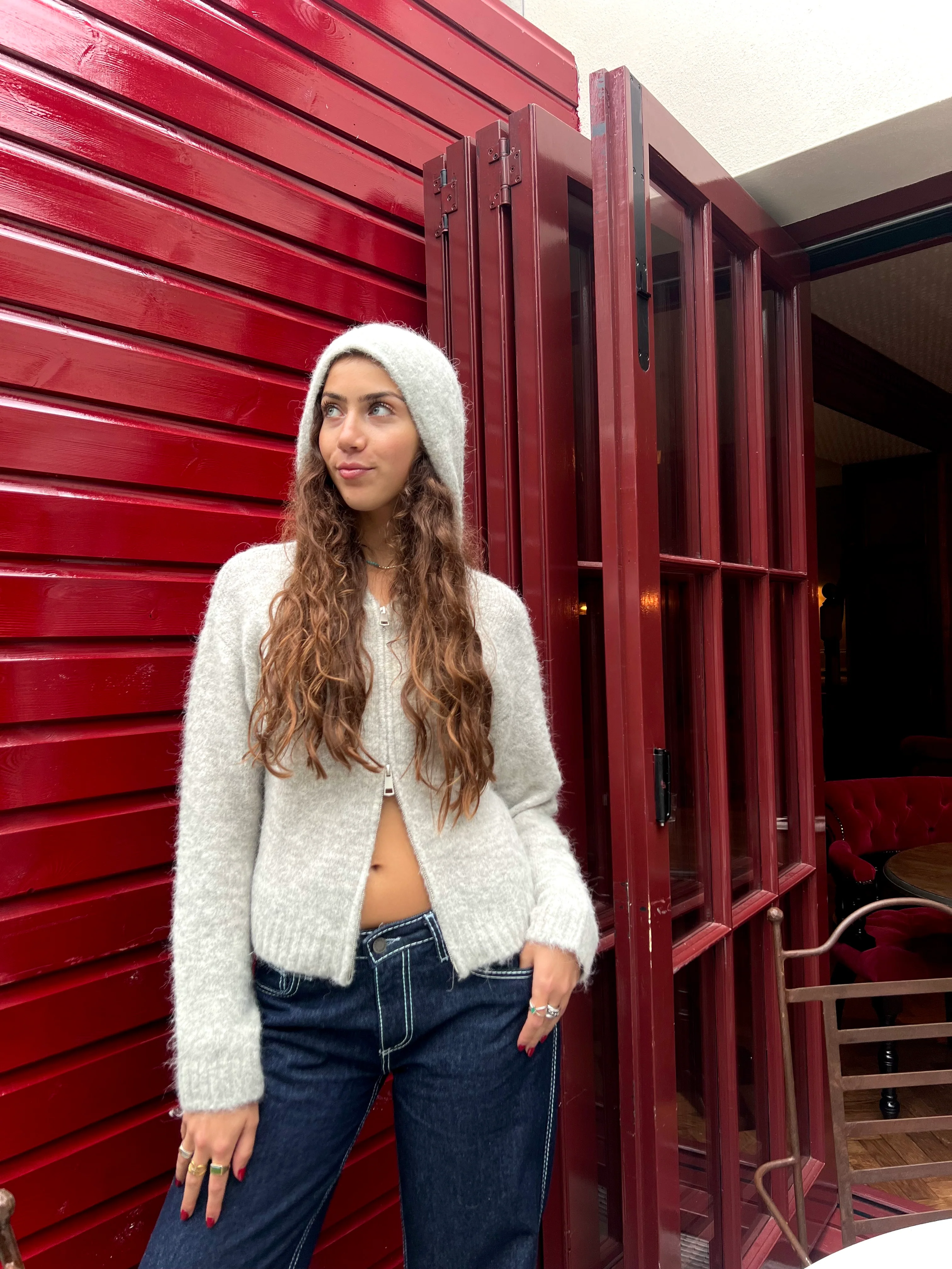 Dual Zip Hoodie - Light Grey - Image 8